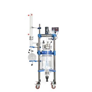 316L Stainless Steel Chemical Glass Reactor with -0.098MPa Vacuum and 220V 60Hz for Laboratory Use
