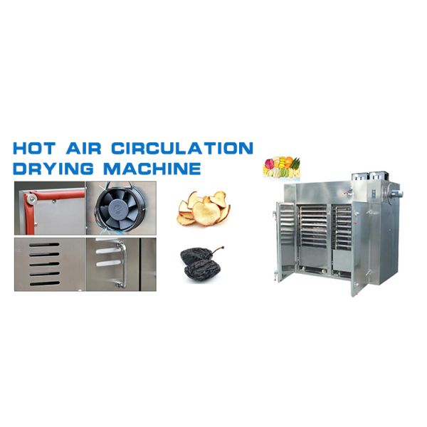 Сушильщики топления хризантемы оборудования засыхания горячего воздуха обеспечивая циркуляцию электрические