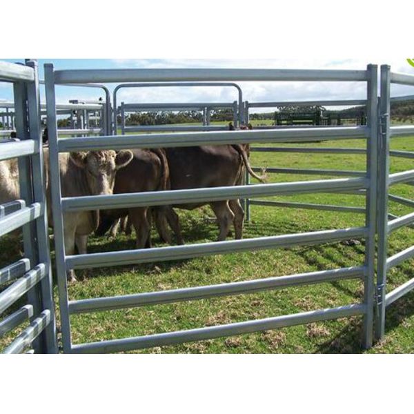 Heavy Duty Galvanized Cattle Yard Horse Fence Panel Gate Line Post 50MM