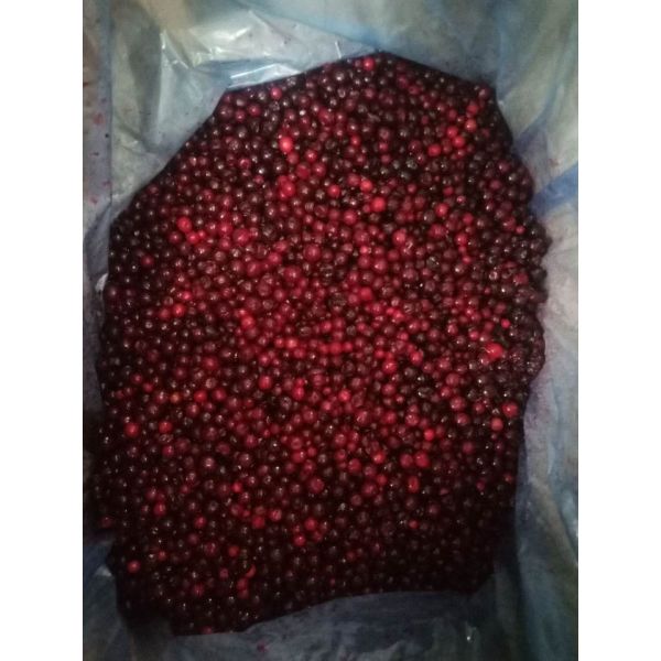 HACCP IQF Frozen Sweet And Delicious Wild Frozen Fruit