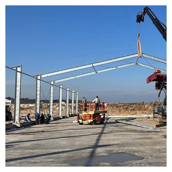 Steel Structure Building Construction Design for Farm Shed Poultry House