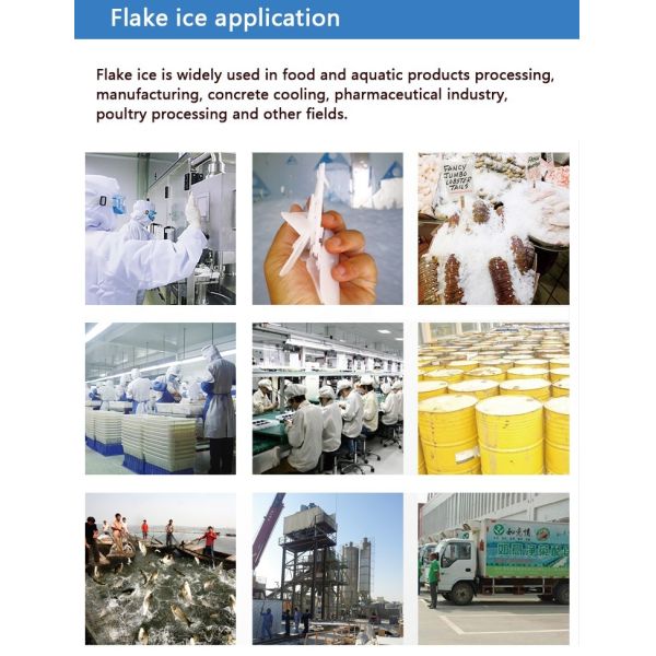 Icemedal CE Salt Water Flake Ice Making Machine Low Energy R22/R404a