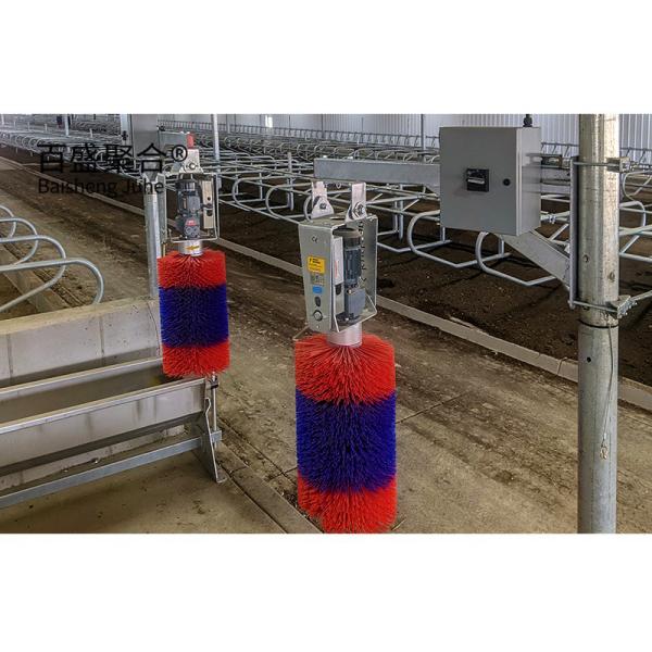 Instalação fácil Gabinete de vacas pré-fabricado com cores personalizadas e canal de aço em forma de CZ