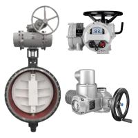 Actionneur électrique Rotork IQ avec corps de vannes de contrôle en tant qu'actionneur électrique Rotork pour vannes, actionneur électrique pour projet de traitement de l'eau