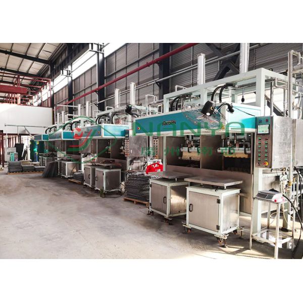 Pulp Molding Shock Proof Package Industrial Tray Making Machine