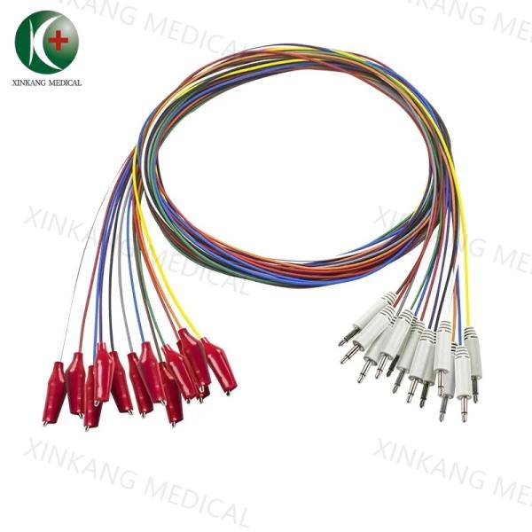 Diameter 10mm EEG Cables International 10-20 System Electrode Placement