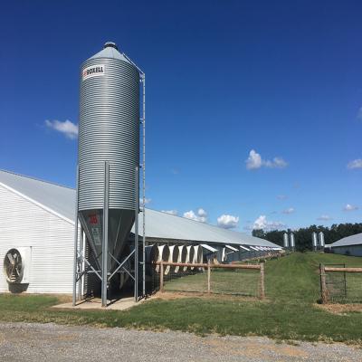 Steel Frame Chicken House Prefabricated Poultry Building Q235 Q345B
