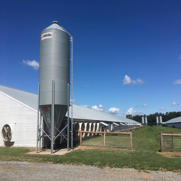 Steel Frame Chicken House Prefabricated Poultry Building Q235 Q345B