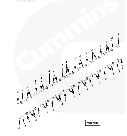 Engine Water Pipe Rubber O Ring Seals 3028291 145608 Cummins Original K19 KTA19