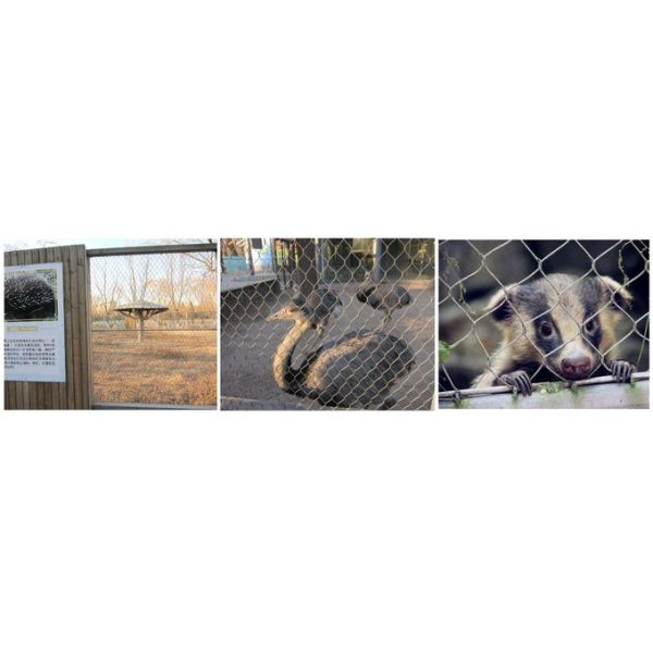 Inox Line Rope Mesh Fencing X Tend , Bridge Ultrasonic Bath Stainless Steel Fence Mesh