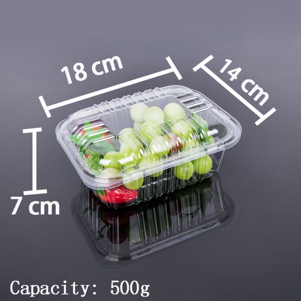 14cm Disposable Plastic Food Box