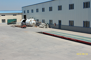 оптом Сушеные семена подсолнечника Фабрика Прямая сырая оптом T6 Семена подсолнечника