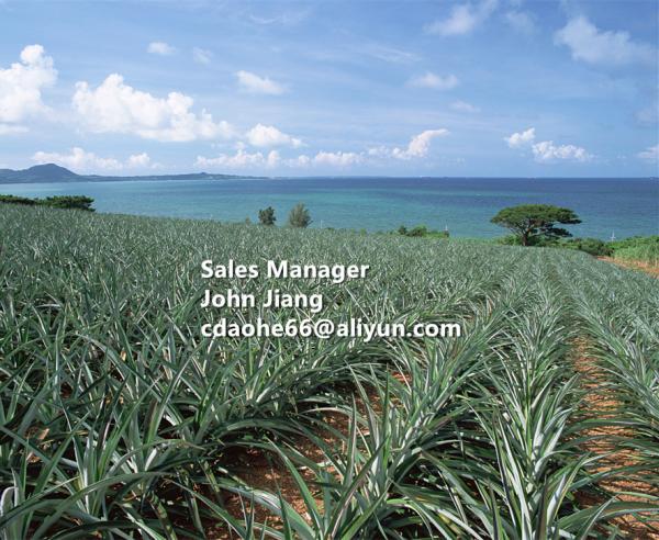 HYDROLYZED PROTEIN LIQUID – OMRI Certified Organic Biostimulant for Stress Resistance & Soil Revival in Global Organic Farming