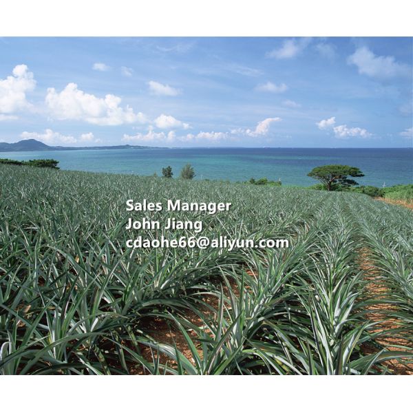 OMRI Listed 16% Organic Nitrogen Amino Acid Fertilizer Fast Acting Plant Nutrition for Thriving Crops
