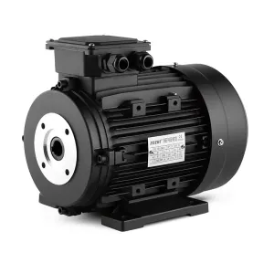 5 hp electric washing machine induction hollow shaft motor