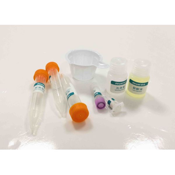 RNA DNA Purification Extraction Kit Sterile Urine Preservative Tubes Medical PET / Glass Material