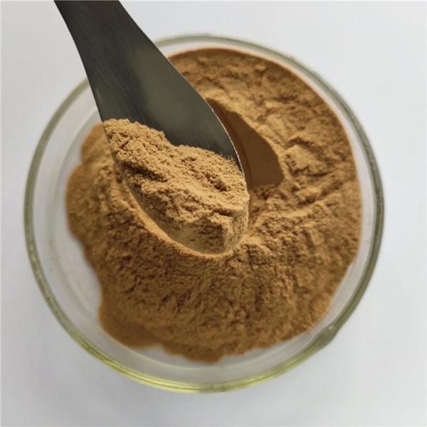 Hairyvein Agrimonia Herb Extract For Hemostasis