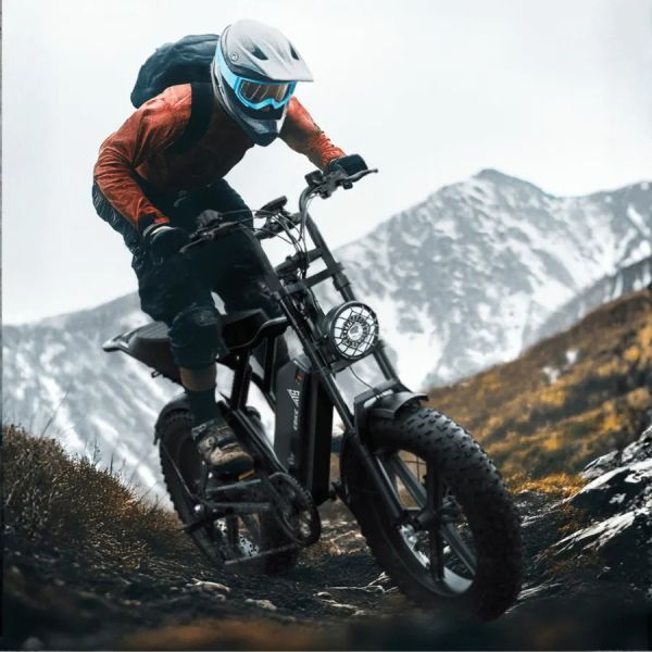 New Arrival EU Stock 20 Inch Fat Tire E Bike 48V 15AH Electric Bike Vintage Off-Road E-Bike 750~1200W, 55km~75km
