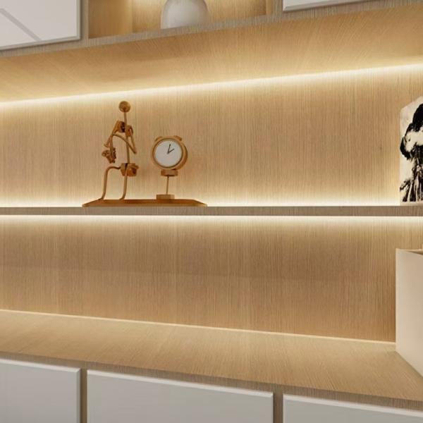 Éclairage LED sous armoire pour placard domestique