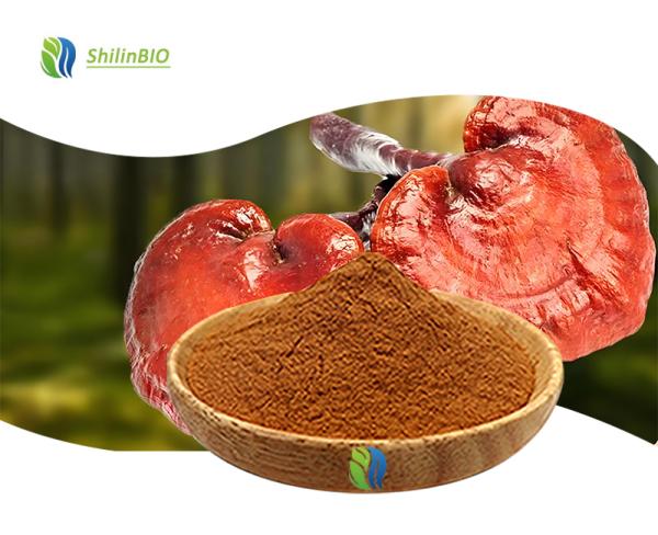 Ganoderma Lucidum Spore Powder