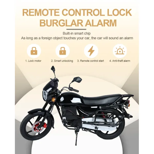 Two Wheeler Adults Electric Motorcycle Bike 125cc 100 km/h