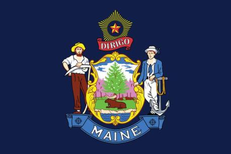 États-Unis drapeau du Maine Impression numérique à l'acide Tissu résistant à l'eau