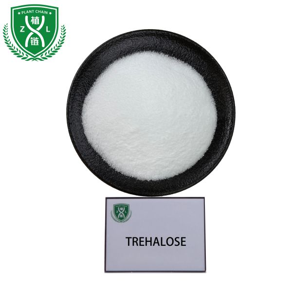 Moisturizing Agent Stabilizer And Protector Raw Material Trehalose 