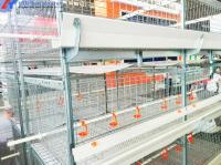 Nourrissage des animaux Cage automatique pour poulets de type H, cages à pile pour poules de chair