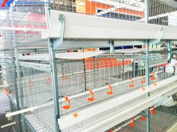 フィリピンの家禽養殖のための全自動型ブロイラーチキンケージシステム