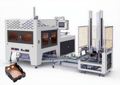 Automatic Corrugated Carton Fruit Box Adhesive Folding Machine With Collect Box