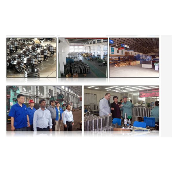 Нейлон FAG проарретировал эпицентр деятельности колеса нося подшипники колеса каравана 805165A 58*110*115mm