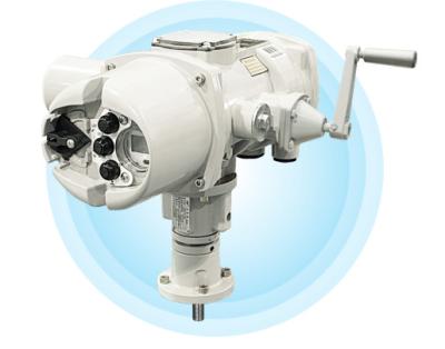 YOKOGAWA M-series straight motor operated valveM8310 M8510 M8610 L8210 M8320 M8520 M8620 L8220 L8230 M8330 M8530 M8630 L8240 M8340M8540 M8640 L8250 M8350 M8550 M8650 L8250 L8210 L8220 L8230 L8240L8250