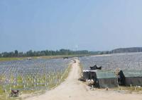 Les hauts panneaux solaires Bifacial du vent 46m/S de précision des chevrons