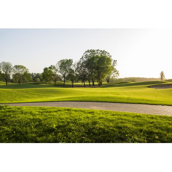 Diamond Shape PE Plastic Fake Backyard Synthetic Turf 70mm Height