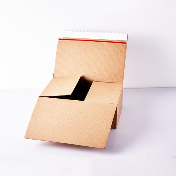 Biodegradable Paper Corrugated Cardboard Gift Box Bulk Packaging