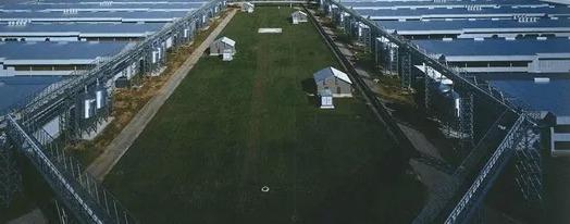 ISO Certified Prefab Poultry House Automatic Manure Removal Feeding System