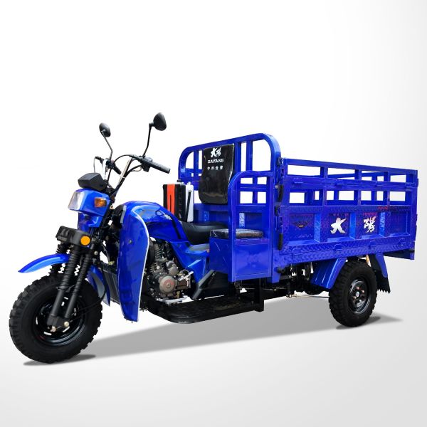 DAYANG DY-Q2 175cc Africa Heavy Load Motor Tricycle 3150 mm Length 4.5 Load Capacity