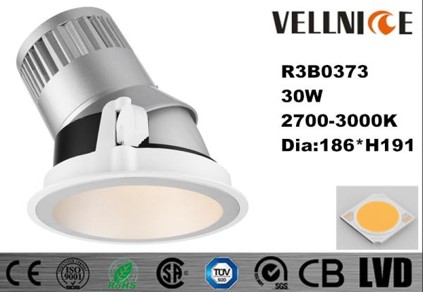 30W Hotel LED Adjustable Dimmable LED Track Lights For Indoor Lighting IP20 Dia.186 * H191 Mm / R3B0373