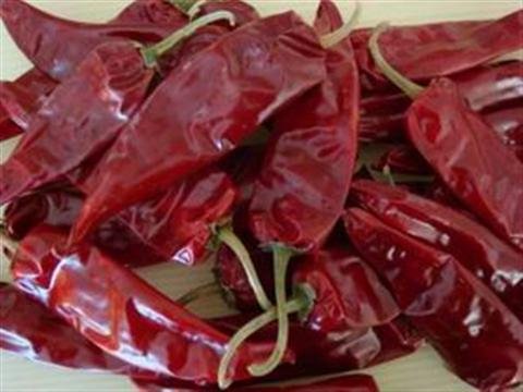 Одиночный китаец чилей 12000 SHU Yidu травы высушил перцы красного Chili