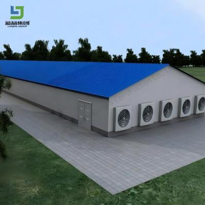 Ferme préfabriquée Structure en acier Broiler ouvert à collier Poule Poule de poule Équipement d'élevage de poulets entièrement automatisé Abri de vache