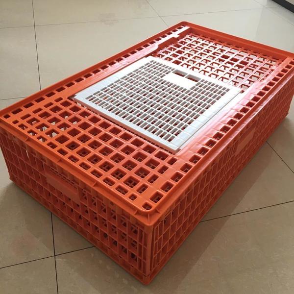 Raw PP Plastic Chicken Transport Box 7500g 4500g Livestock Equipment Accessories