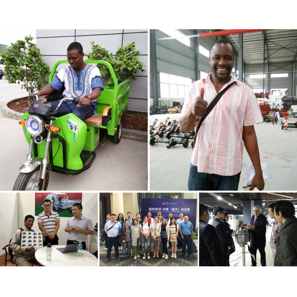 168 Полноплавучие бензиновые моторные трехколесные автомобили с задней осью для грузовых полкабин в Тунисе