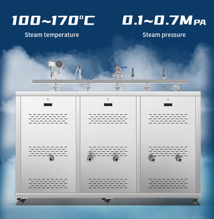 220V 50Hz Чистый газовый парогенератор Модульная печь с низким уровнем шума