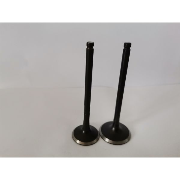 TOYOTA COROLLA Diesel Engine Valve , 3974AN Administration Valves for car