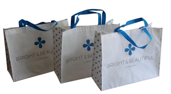 White and Blue 85gsm Nonwoven Fabric Carrier Bags With Matt Coated,White Piping,Button,Blue Handle Resable & Durable Bag