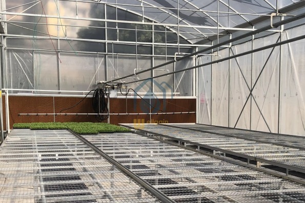 Indoor Greenhouse Rolling Benches Corrosion Resistant Rolling Benches For Growing