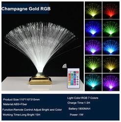 Remote Control Colorful Christmas Xmas Party Decor Luminous Flower Lamp Gradients Led Optic Fiber Star Light