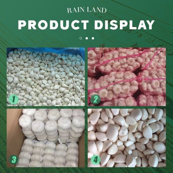 Chinese Organic Fresh Garlic Export Mesh Bag Packing Newest Crop Pure White Garlic High-quality