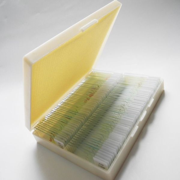 Mixed 100 Kinds Fitted Wooden Box Prepared Slides For Biology