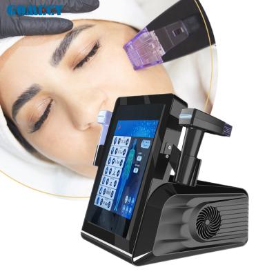 Radiofrecuência Máquina de Microneedling de RF fracionada com 2 alças